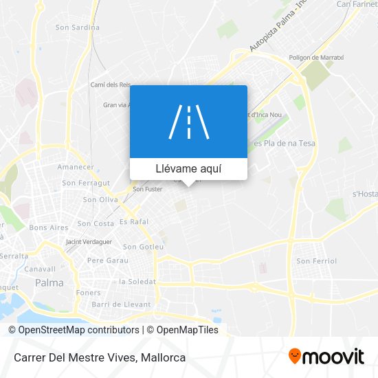 Mapa Carrer Del Mestre Vives