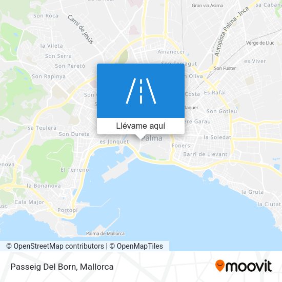 Mapa Passeig Del Born