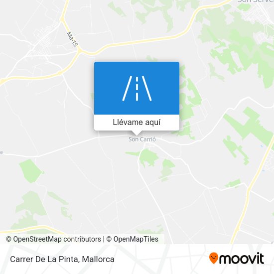 Mapa Carrer De La Pinta