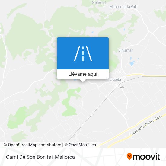 Mapa Camí De Son Bonifai