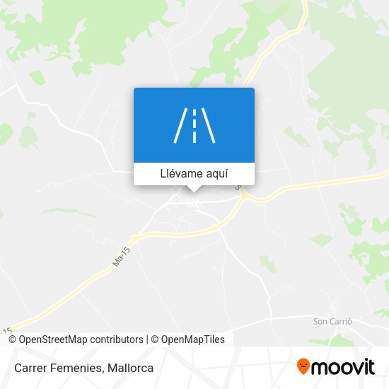 Mapa Carrer Femenies