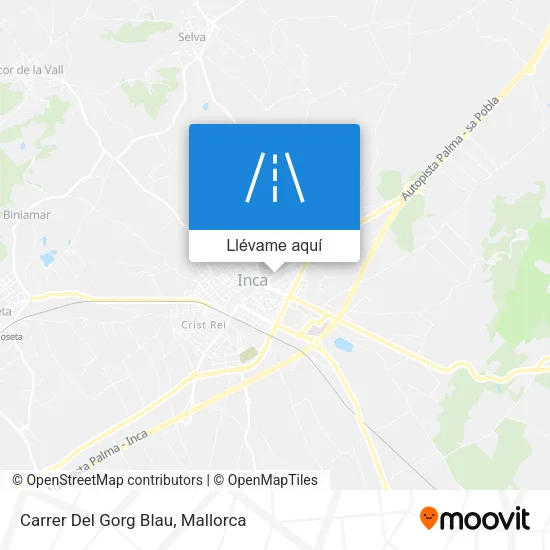 Mapa Carrer Del Gorg Blau