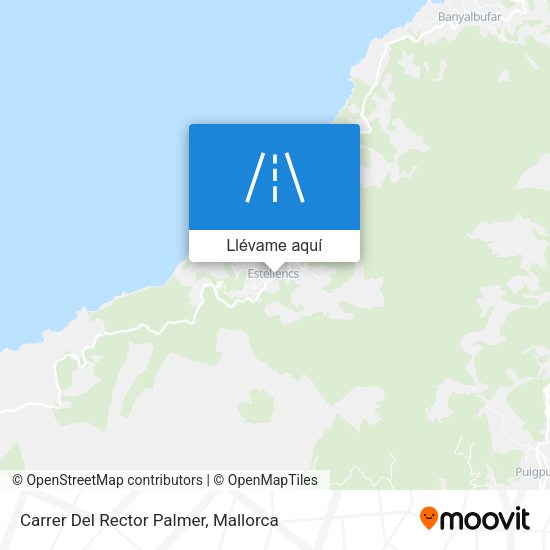 Mapa Carrer Del Rector Palmer