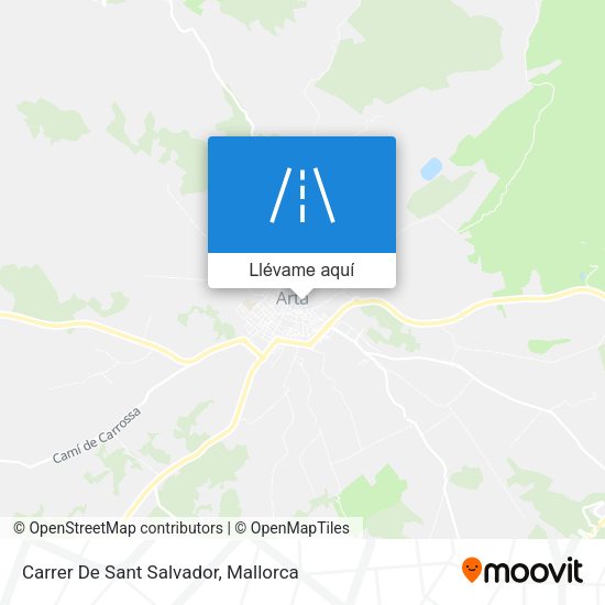 Mapa Carrer De Sant Salvador