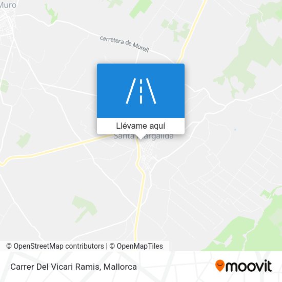 Mapa Carrer Del Vicari Ramis