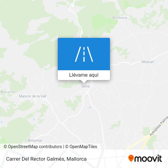 Mapa Carrer Del Rector Galmés
