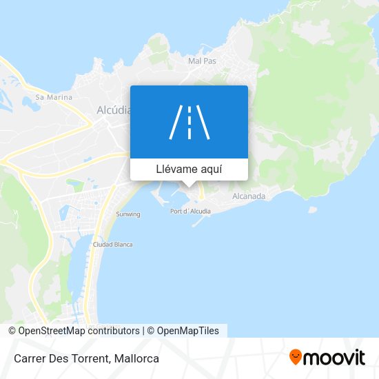 Mapa Carrer Des Torrent