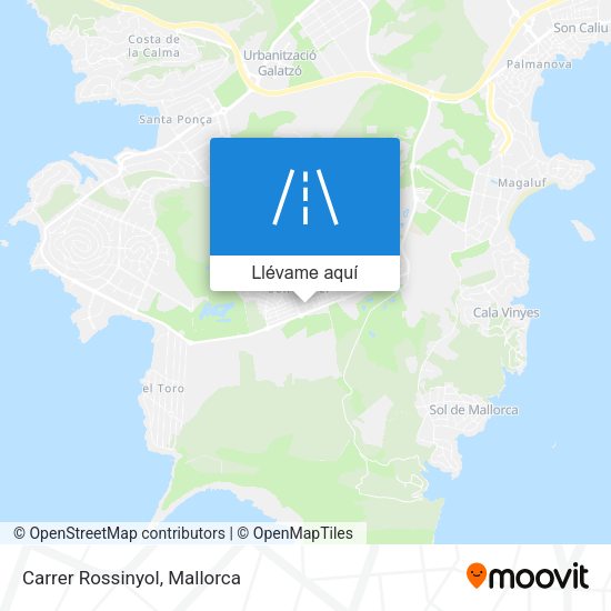 Mapa Carrer Rossinyol