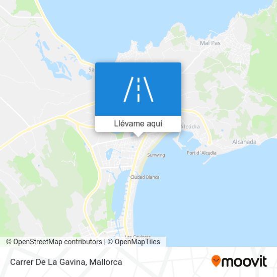 Mapa Carrer De La Gavina