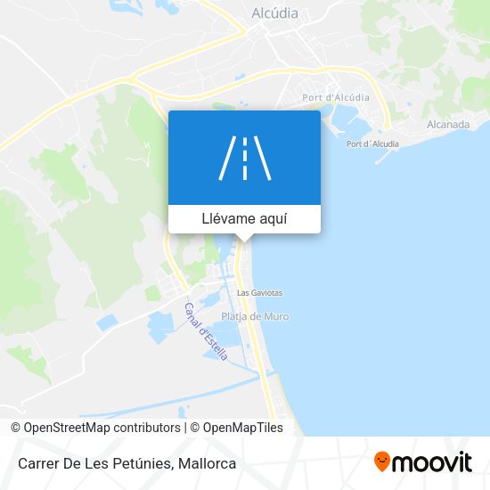Mapa Carrer De Les Petúnies