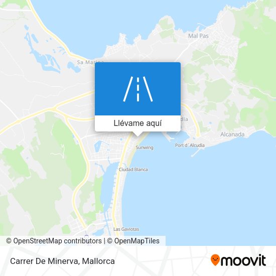 Mapa Carrer De Minerva