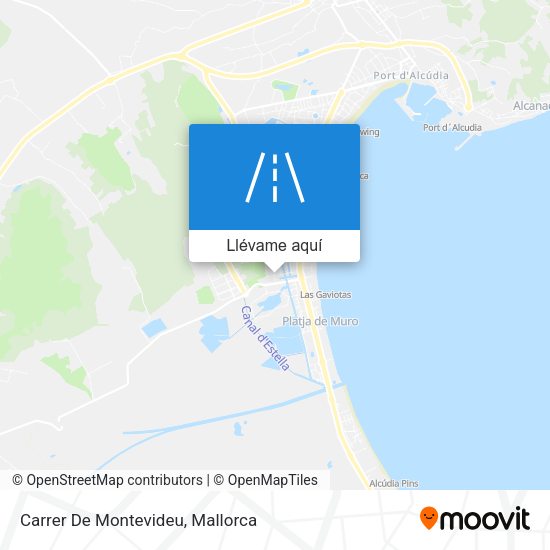 Mapa Carrer De Montevideu