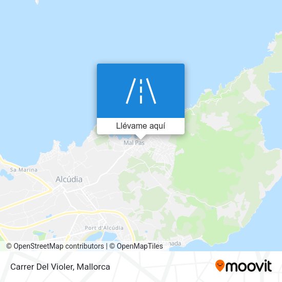 Mapa Carrer Del Violer
