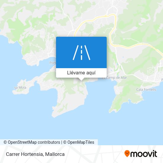 Mapa Carrer Hortensia
