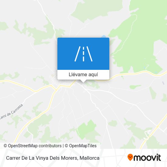 Mapa Carrer De La Vinya Dels Morers