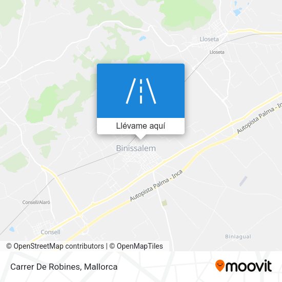Mapa Carrer De Robines