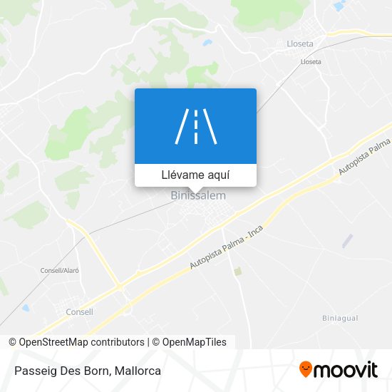 Mapa Passeig Des Born