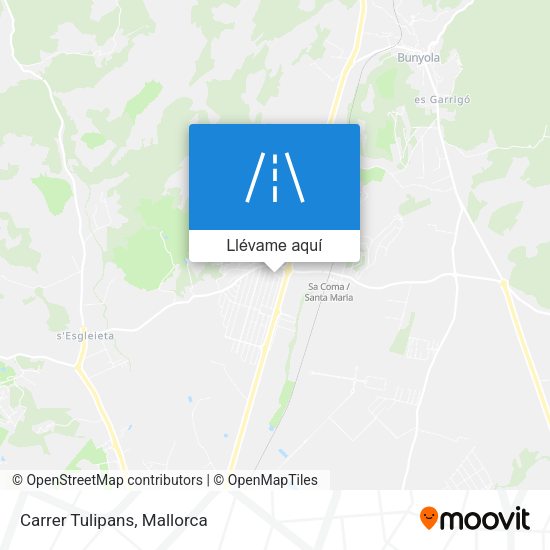 Mapa Carrer Tulipans
