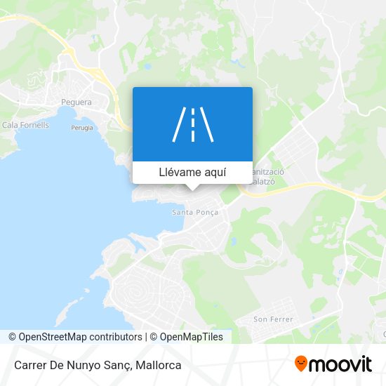 Mapa Carrer De Nunyo Sanç