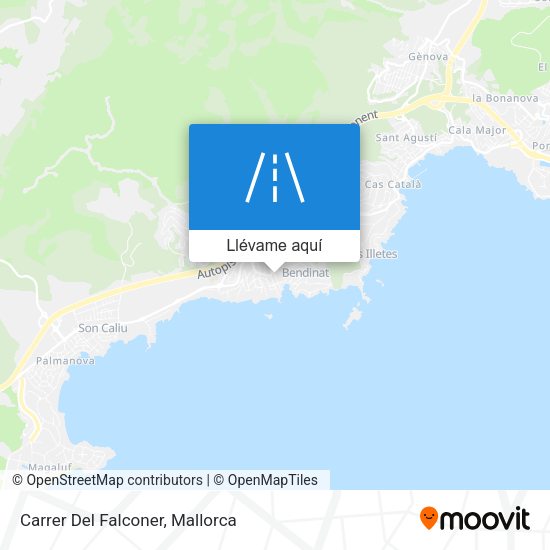 Mapa Carrer Del Falconer