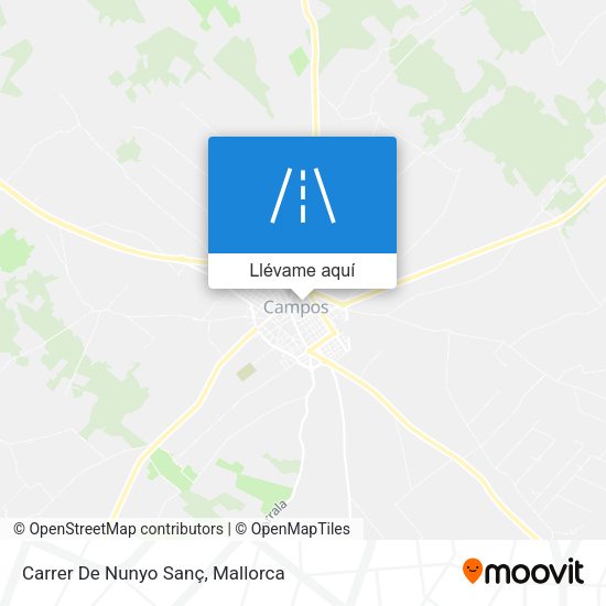 Mapa Carrer De Nunyo Sanç