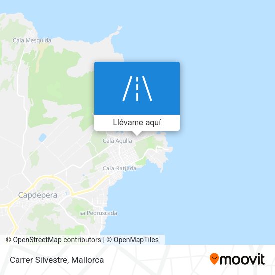 Mapa Carrer Silvestre