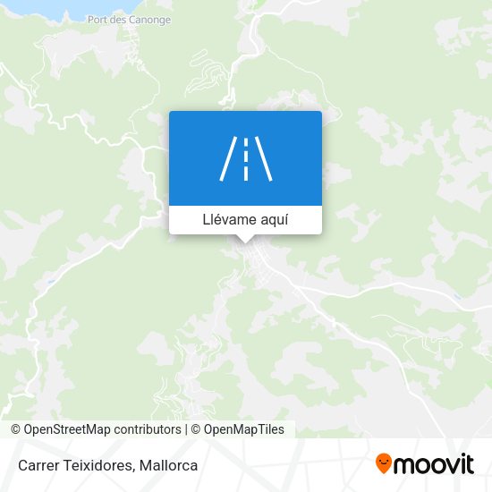Mapa Carrer Teixidores