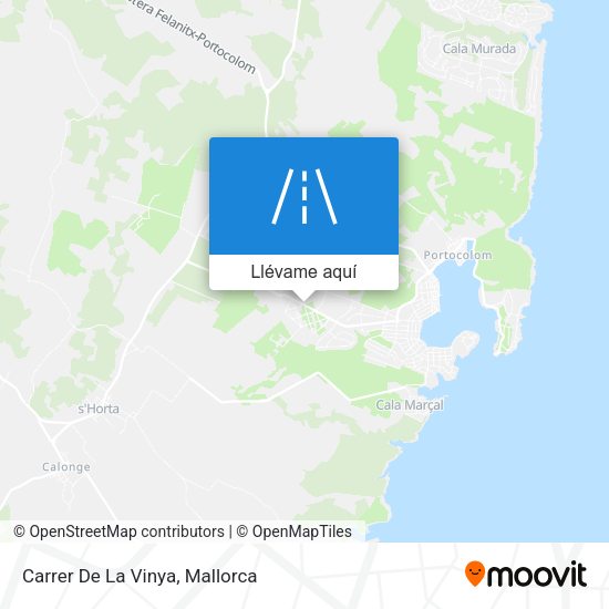 Mapa Carrer De La Vinya