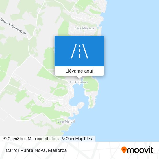 Mapa Carrer Punta Nova