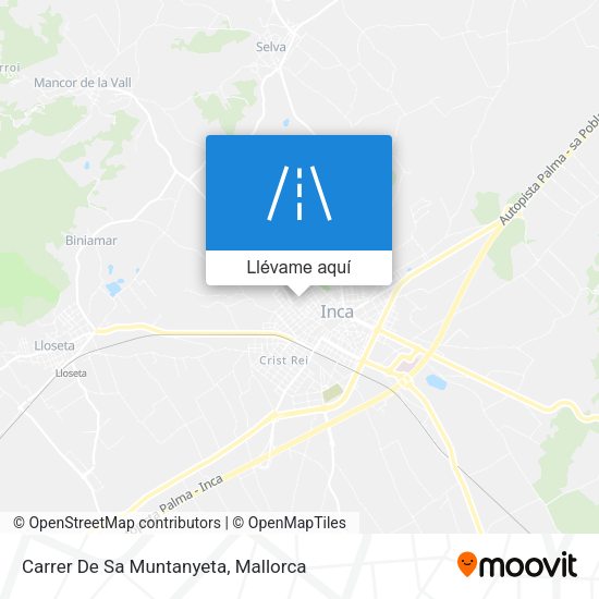 Mapa Carrer De Sa Muntanyeta