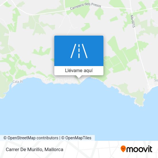 Mapa Carrer De Murillo