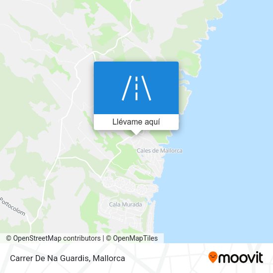 Mapa Carrer De Na Guardis