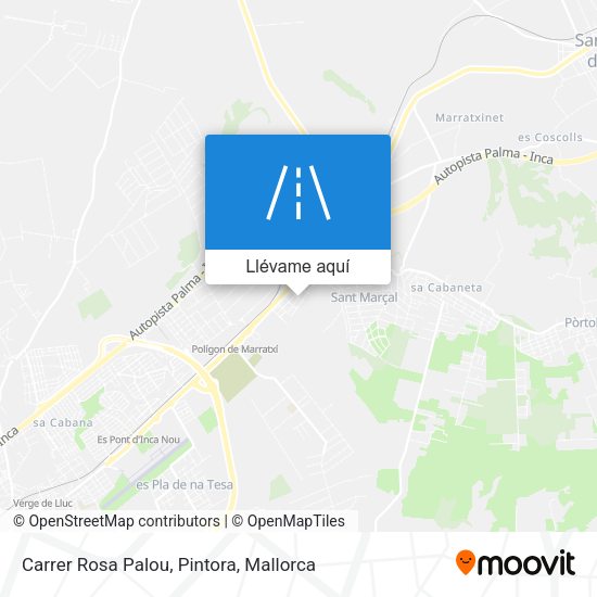 Mapa Carrer Rosa Palou, Pintora