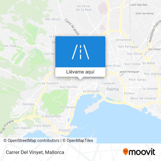 Mapa Carrer Del Vinyet