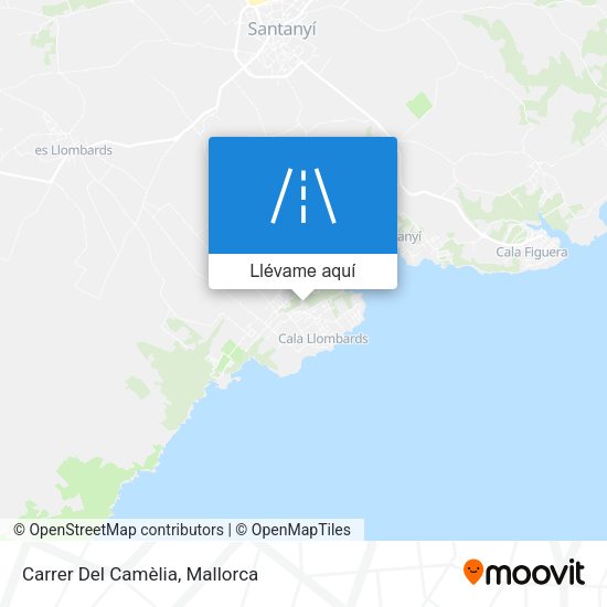 Mapa Carrer Del Camèlia