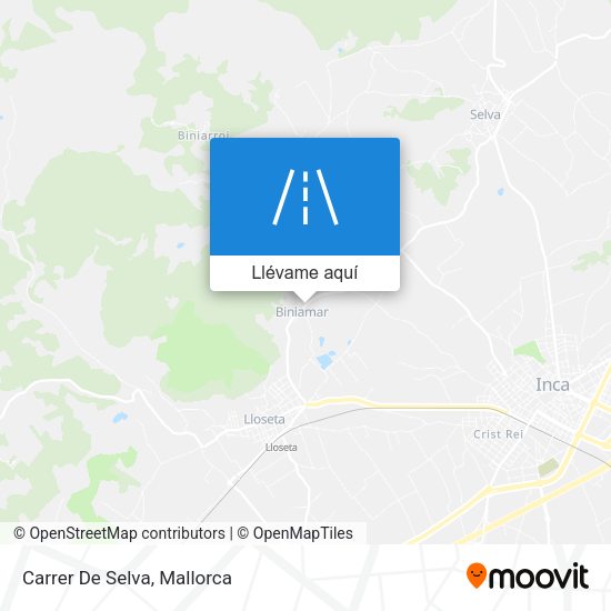 Mapa Carrer De Selva