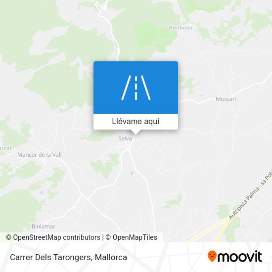 Mapa Carrer Dels Tarongers
