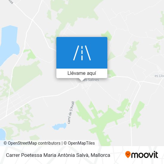 Mapa Carrer Poetessa Maria Antònia Salvà