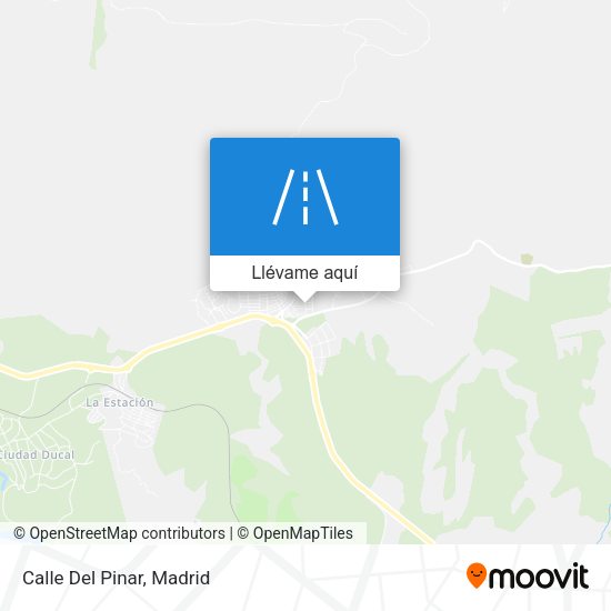 Mapa Calle Del Pinar