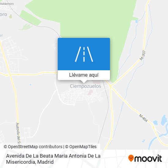 Mapa Avenida De La Beata María Antonia De La Misericordia