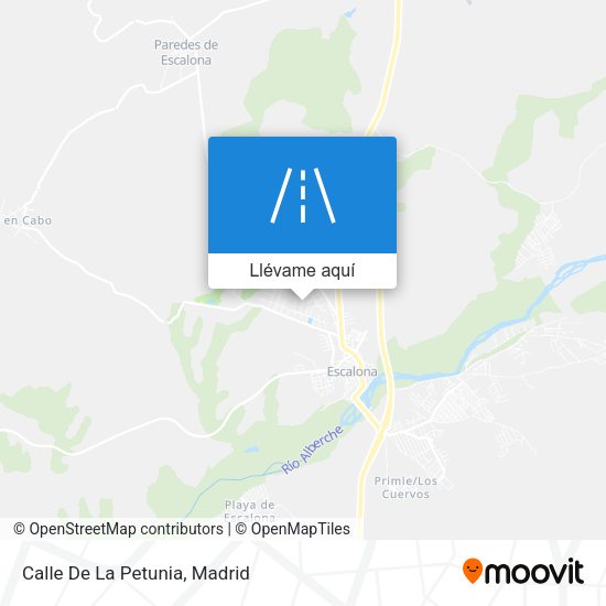 Mapa Calle De La Petunia