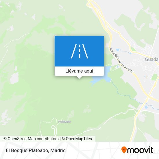 Mapa El Bosque Plateado