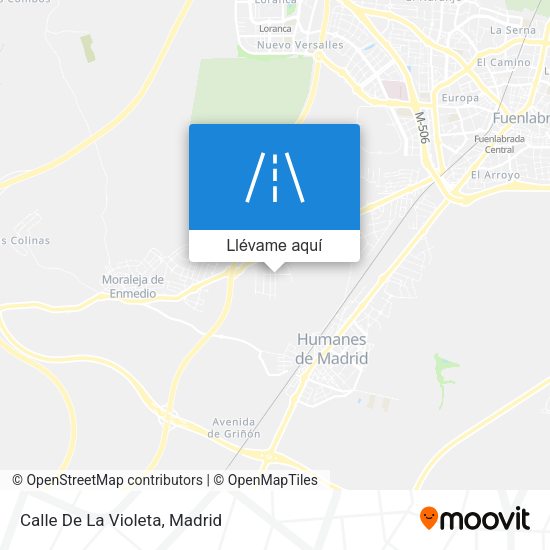 Mapa Calle De La Violeta