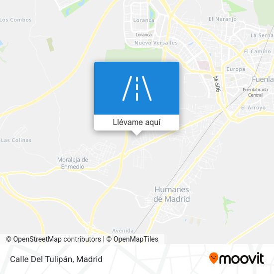 Mapa Calle Del Tulipán