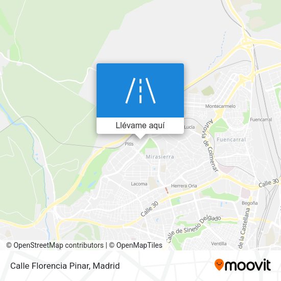 Mapa Calle Florencia Pinar