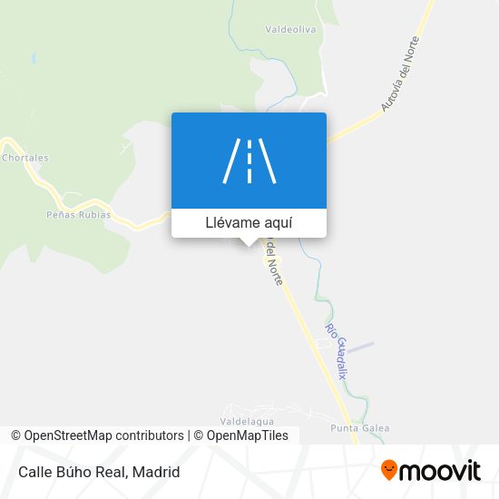 Mapa Calle Búho Real