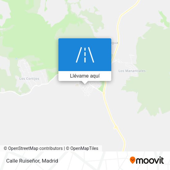 Mapa Calle Ruiseñor