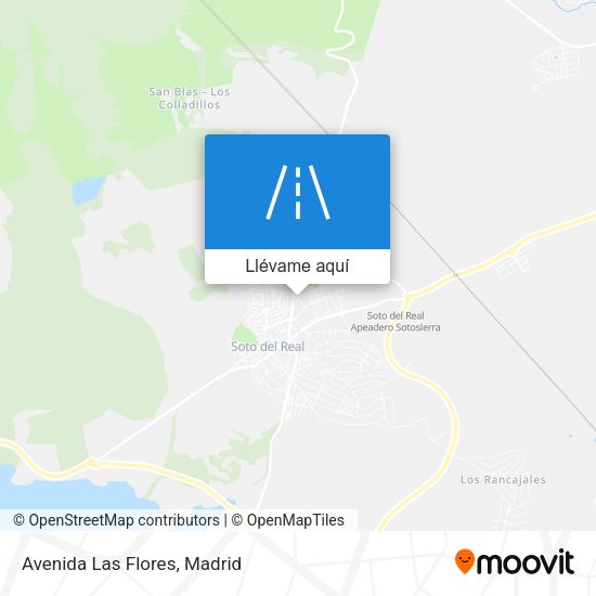 Mapa Avenida Las Flores
