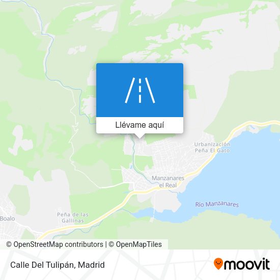 Mapa Calle Del Tulipán