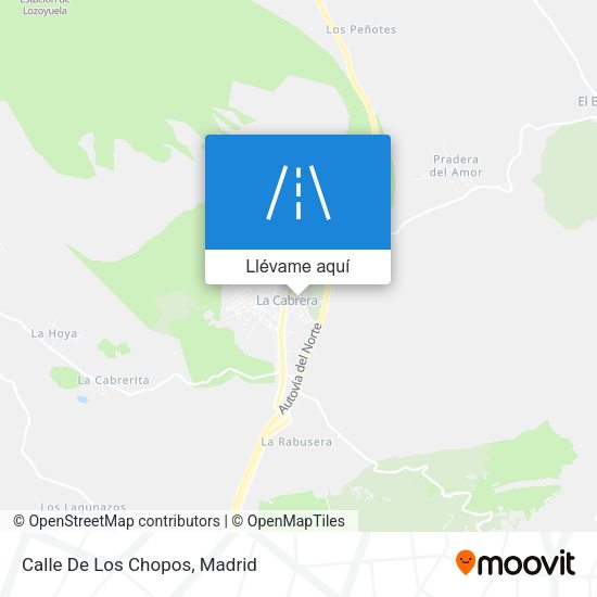 Mapa Calle De Los Chopos